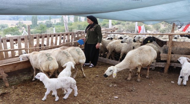 Hibe Destekli Projelerle Tarım ve Hayvancılık Hızla Gelişiyor