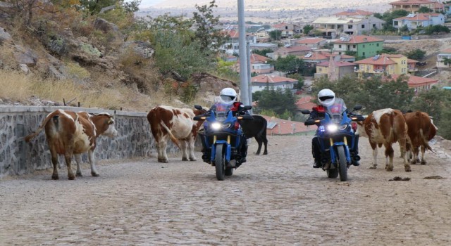 Motosikletli Jandarma Timleri Her Yerde