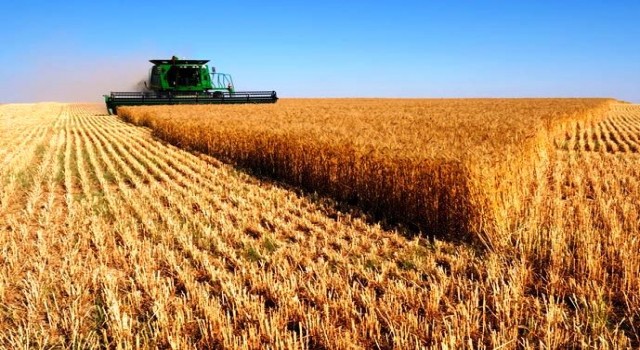 Tarımsal Üretim Fiyatlarındaki Artış TÜİK’e Göre %28,74