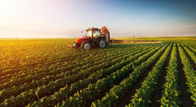 TÜİK’in İyimser Verileri Bile Artış Yüzde 68,49 Diyor