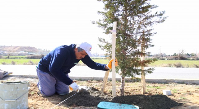 Park ve Bahçelerde Bahar Havası