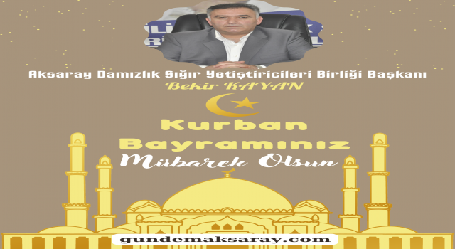 Kurban Bayram İlanlar