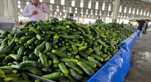 Kışın Vazgeçilmezi Turşu Cep Yakıyor