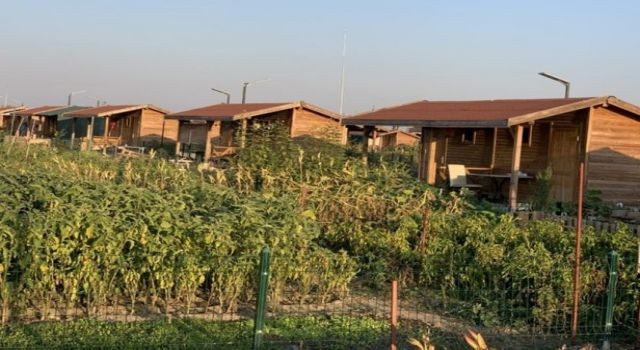 Vatandaşlar Hobi Bahçesi İstiyor