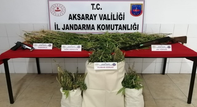 Jandarmanın Zehir Tacirleriyle Mücadelesi Devam Ediyor