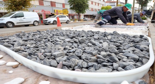 Şehir Estetiği Göz Kamaştırıyor