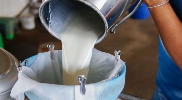 Süt Üretimindeki Acı Tabloyu TÜİK Açıkladı