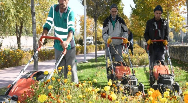 Park ve Bahçelerde Görüntü Güzelliği