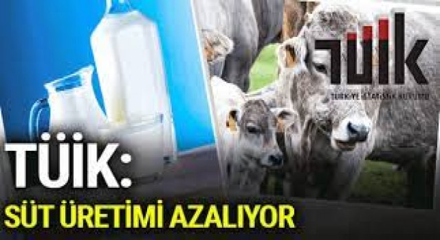 Girdiler Yükseldikçe Süt Üretimi Azalıyor
