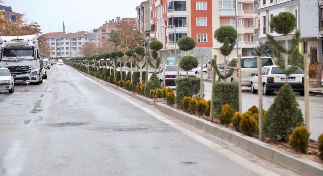 Yeniden Yeşil Olmak İçin