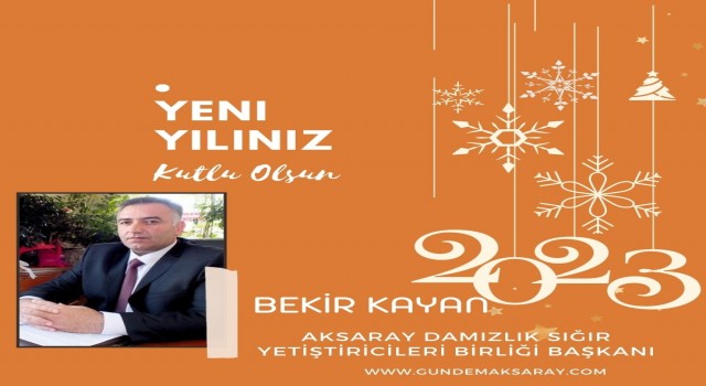 Yılbaşı Kutlama İlanlar