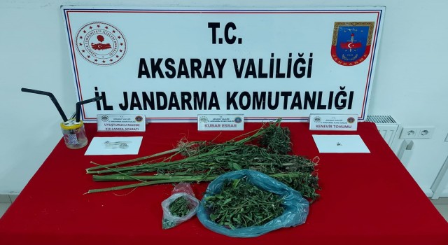 Jandarma Uyuşturucu Savaşında Geri Adım Atmıyor