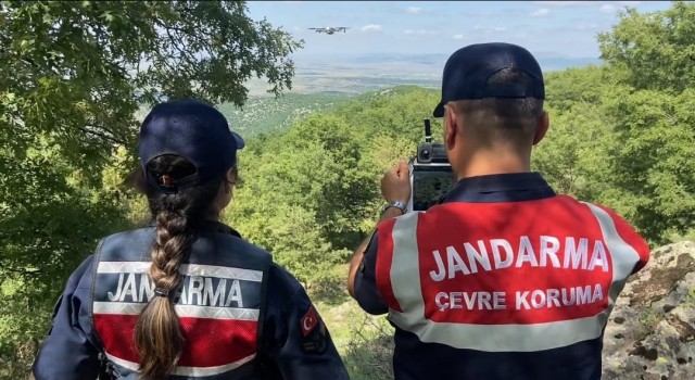 Jandarmadan Mesire Alanlarına Denetim