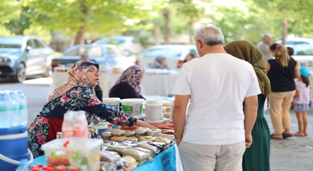 Aile Bütçelerine HANIMELİ Değiyor
