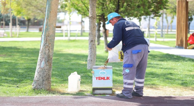 Belediye Sokak Hayvanlarını da Unutmadı