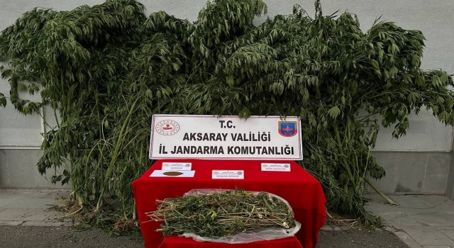 Uyuşturucu İmalathanesine Operasyon