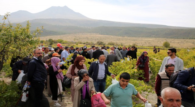 Hasandağı Bağları Festivalle Şenlendi