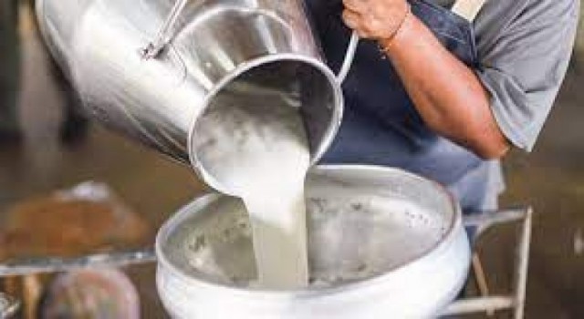 Kayan “Çiğ Süt Fiyatları Acilen Güncellenmeli”