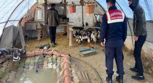 HAYDİ, Yaban Hayvanı Ticaretine Darbe Vurdu