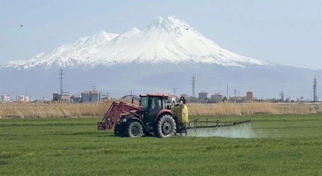 Tarlalarda Yabancı Ot Alarmı