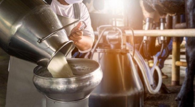 Süt Üretimi Bir Yılda Yüzde 7,9 Artış Gösterdi
