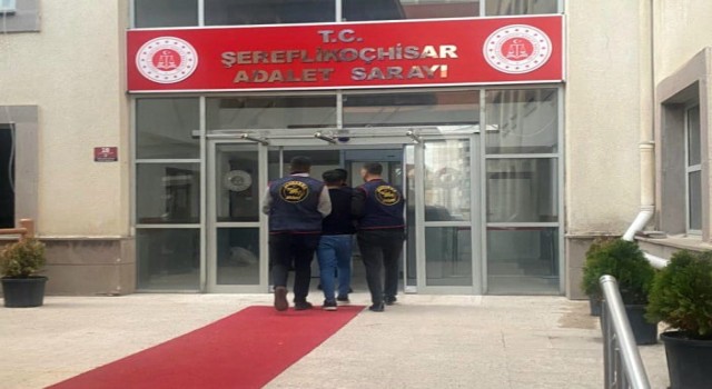 Arananlar bir bir yakalanıyor
