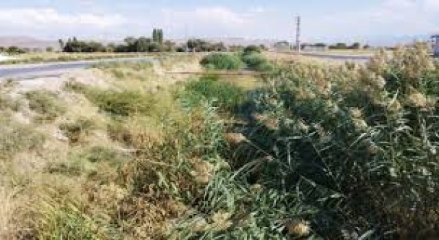 Bu Kanal Sizi Hiç mi Rahatsız Etmiyor
