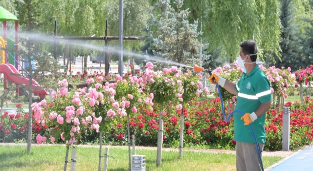 Haşere Mücadelesi Hız Kesmiyor