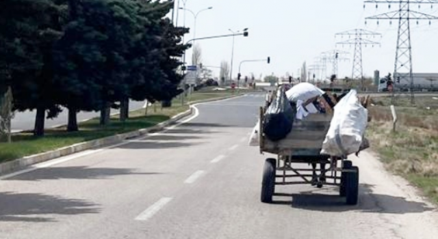 Sayıları Yeniden Artmaya Başladı