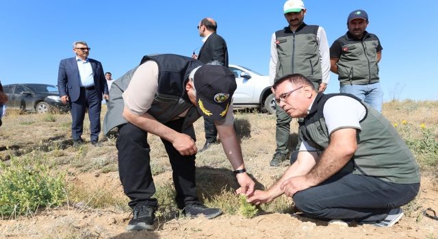 Yeşil Aksaray İçin Türkiye'de İlk Defa Uygulanan Yöntemi İnceledi