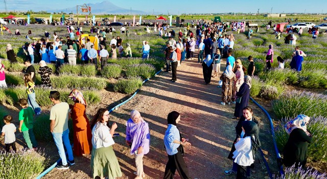 Lavanta Bahçesi’nin Sezon Açılışı, Aşure İkramı İle Gerçekleştirildi