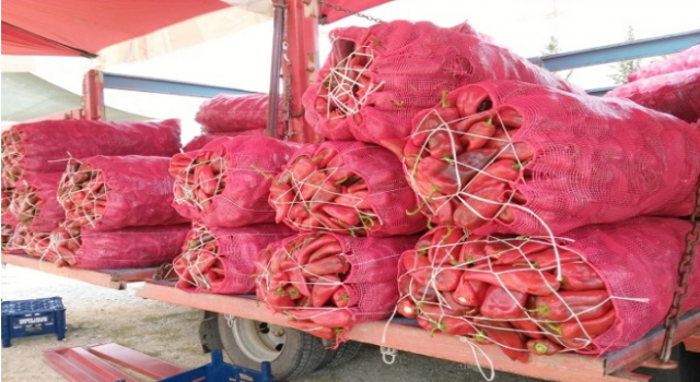 Salçalıkta Tartı Vurgunu