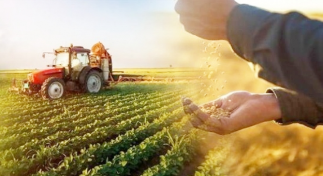 Tarımsal Üretimde Maliyet Artışı Yüzde 43,58’e Yükseldi
