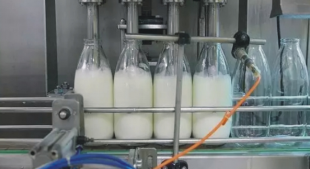 TÜİK “Toplanan İnek Sütü Azaldı”