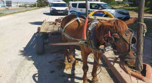 Aksaray'da 8 Yıl Sonra At Arabaları Yeniden Görülmeye Başlandı