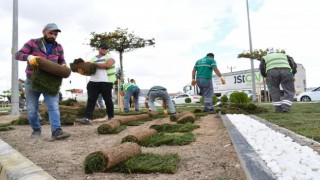 Başkan Dinçer: “Yeşil Aksaray İçin var Gücümüzle Çalışıyoruz”