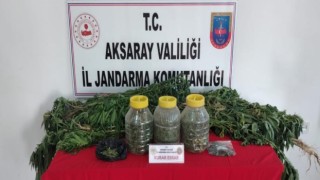 Jandarmadan Köy Evine Kenevir Operasyonu