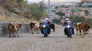 Motosikletli Jandarma Timleri Her Yerde