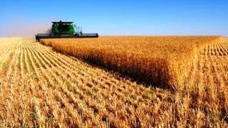 Tarımsal Üretim Fiyatlarındaki Artış TÜİK’e Göre %28,74