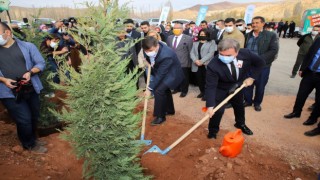 Öğretmenler Günü Anısına 24 Bin Fidan Toprakla Buluştu