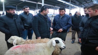 Üreticiler Ertürk’e Konuştu “Süt İneklerimizi Kesiyoruz”