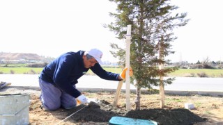 Park ve Bahçelerde Bahar Havası