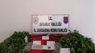 Evin Bahçesini Kenevir Tarlasına Çevirdiler