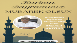 Kurban Bayram İlanlar