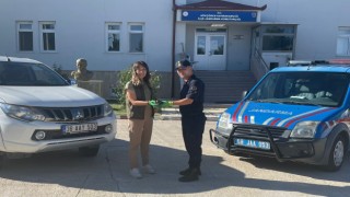 Delice Kuşu Koruma Altında