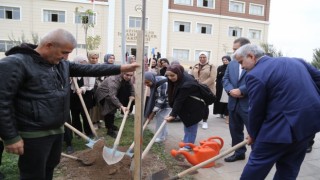 ASÜ’de Fidanlar Toprakla Buluştu
