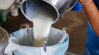 Süt Üretimindeki Acı Tabloyu TÜİK Açıkladı