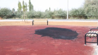 Umursamadan Kırıp Döküyorlar