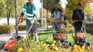 Park ve Bahçelerde Görüntü Güzelliği