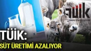 Girdiler Yükseldikçe Süt Üretimi Azalıyor